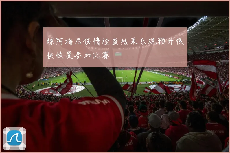 琼阿梅尼伤情检查结果乐观预计很快恢复参加比赛